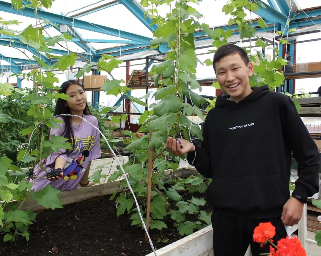 В Якутии ученики агрошколы выращивают виноград и клубнику